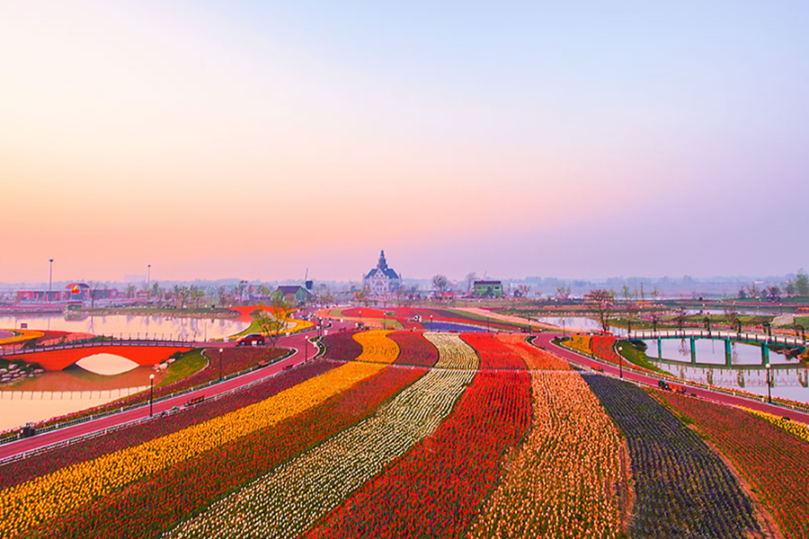 景上添花大有可为