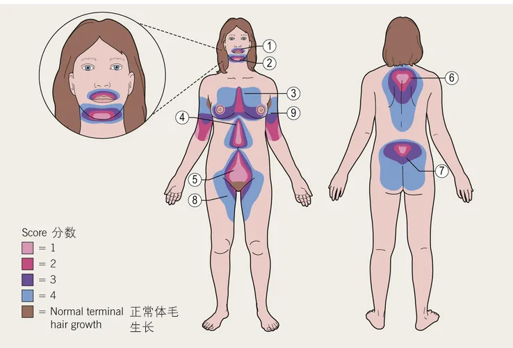 女生的体毛变粗密不是刮出来的 而是这个原因 天天看点