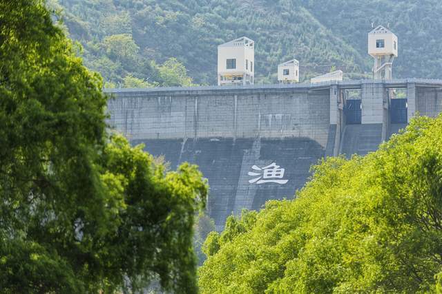 昭通鱼洞水库樱花如期盛放