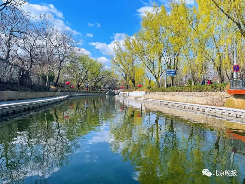北京已入春！清明假期最高温将达24℃四年级语文园地1～8