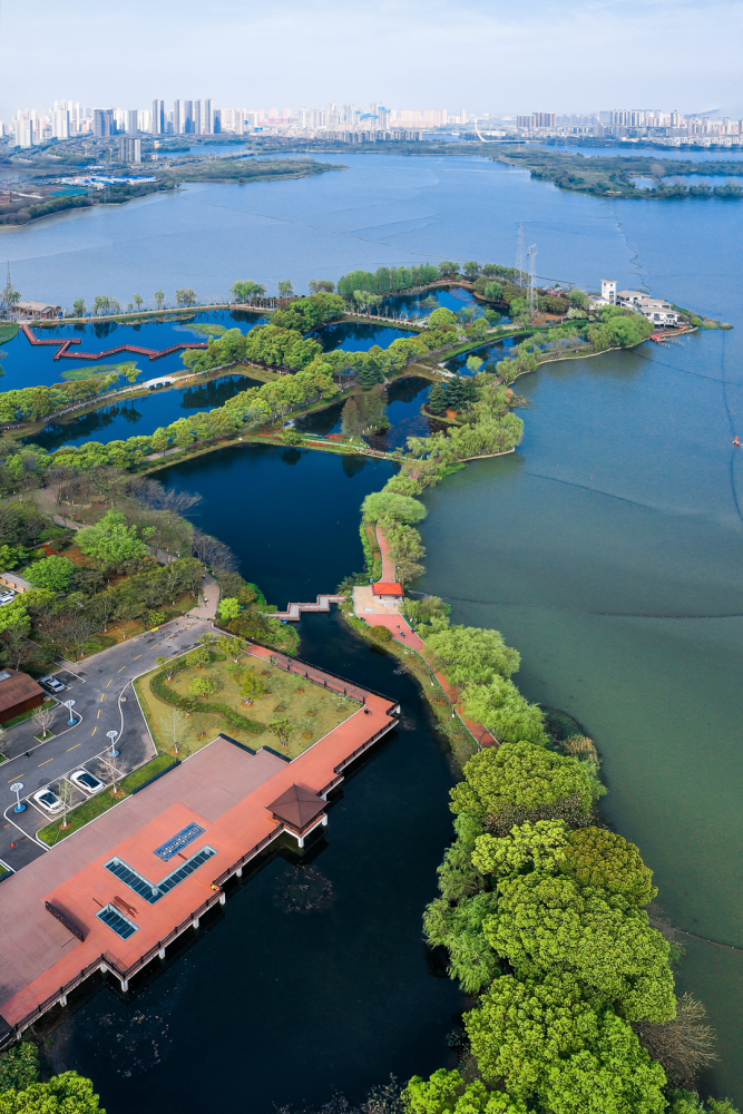 不出武汉10个小众踏青地在东西湖玩转春天