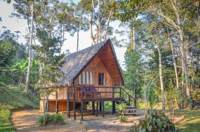 非洲丛林里的野奢度假别墅这样的小木屋你想来住吗太美了吧