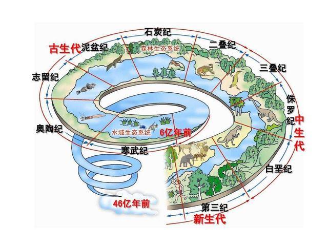 科學家警告種種跡象已經表明地球可能正進入第六次生物大滅絕