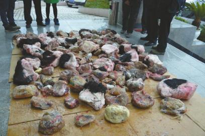 这些物品送至云南省濒科委鉴定中心做了dna鉴定,dna鉴定结果:大熊猫肉