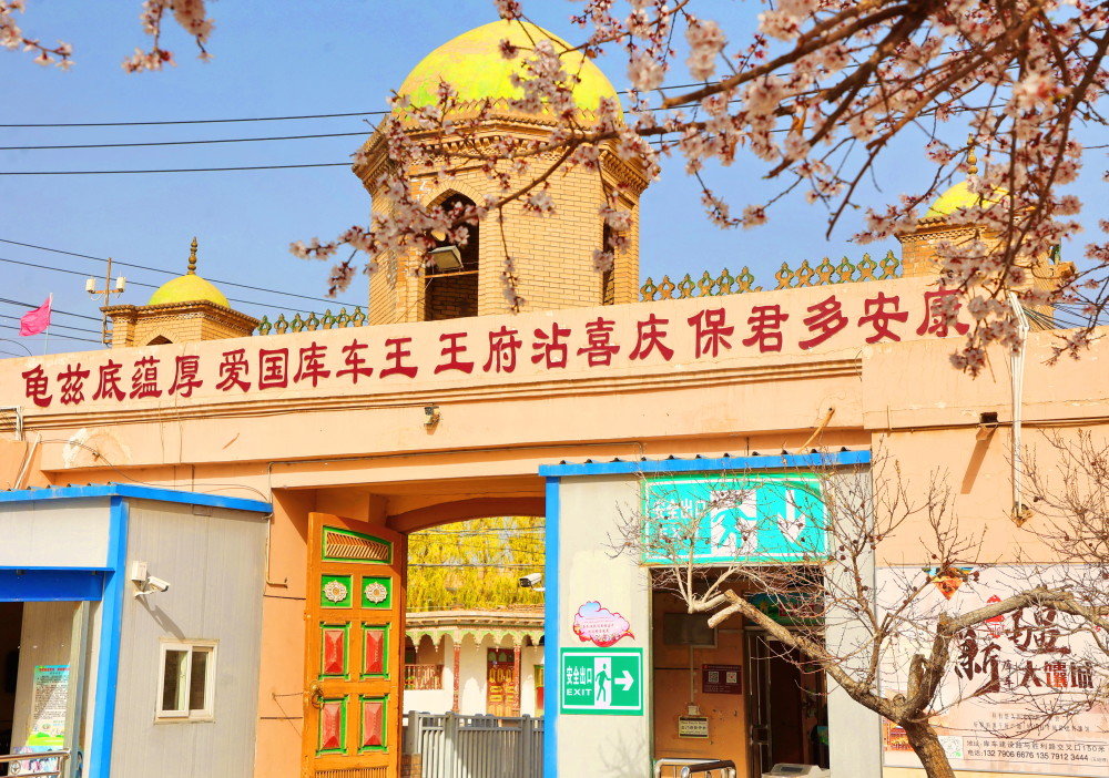 与春天相遇库车王府的杏花开了