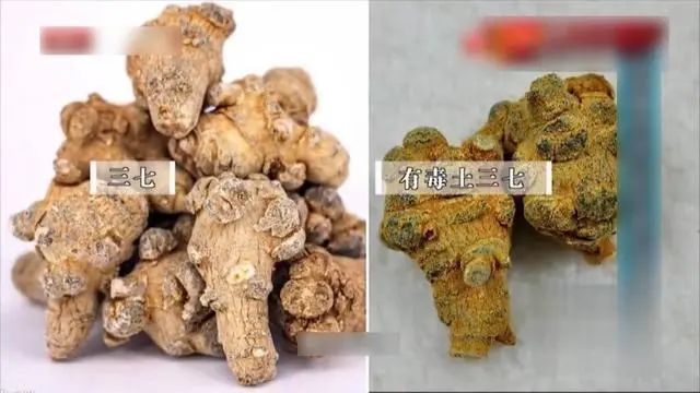 總結,無論是中藥還是西藥,在用藥之前一定要諮詢專業的醫生,遵循醫