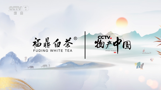 cctv物产中国入选品牌福鼎白茶用品牌的力量走向世界