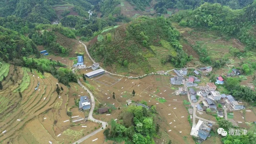 据了解,落雁乡共流转土地800亩,主要集中在保隆村和落雁村,预计在4月