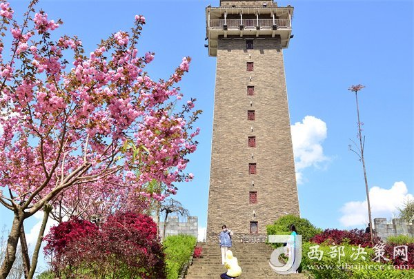 漢中寧強(qiáng)：櫻花爛漫美如畫插圖2