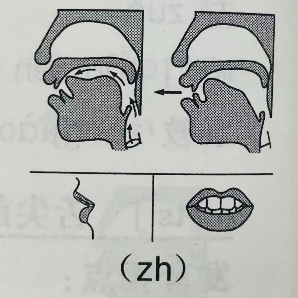 有聲演播配音|普通話基礎發音—z c s zh ch sh發音及練習_騰訊新聞