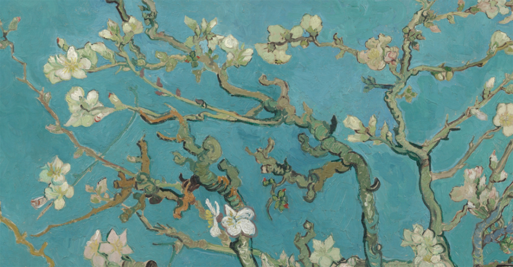 巴旦杏丨梵高《杏花》的真实身份_腾讯新闻