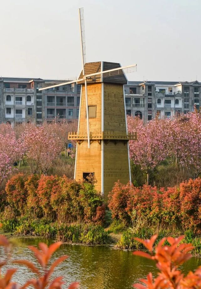 兴仁东湖公园的樱花开了,好美!_腾讯新闻