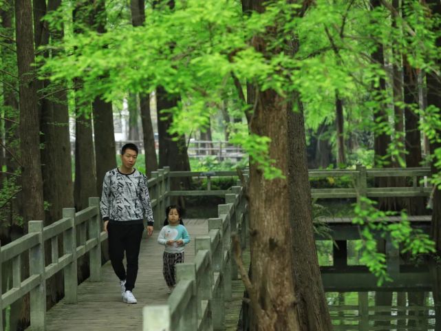 鶯歌婉轉,燕語呢喃.繁花似錦,極盡絢爛.細柳如絲,煙雨如織.