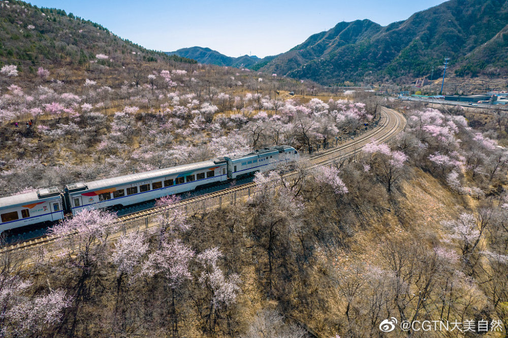 误机躲过失事航班庐州破烂居庸关那辆命运