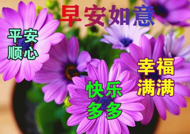 经典早上好暖心祝福语大全,春暖花开清晨问候动图美图精选