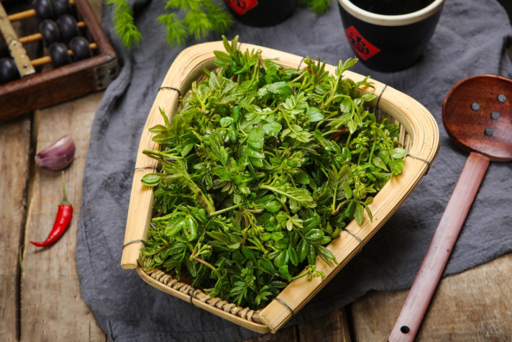 花椒芽,也就是花椒树春天发的嫩芽和嫩叶,它比其他的树芽都好吃,有一