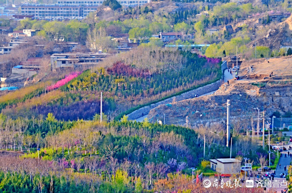 在白馬山山體公園,處處花紅樹綠,風采獨具,生機勃勃