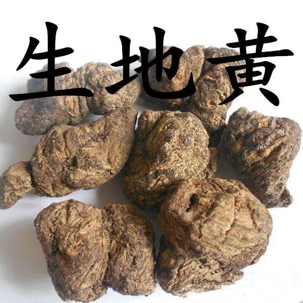 熟地的副作用與禁忌症