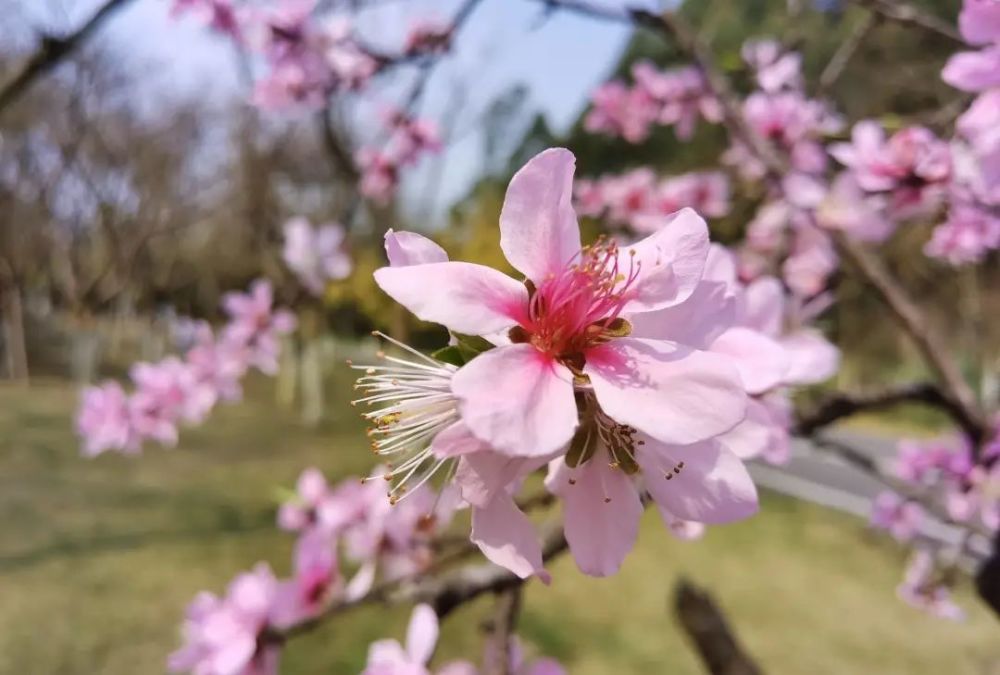 机构和不动产所在地一致的不动产转让是否需要预缴增值税 腾讯新闻