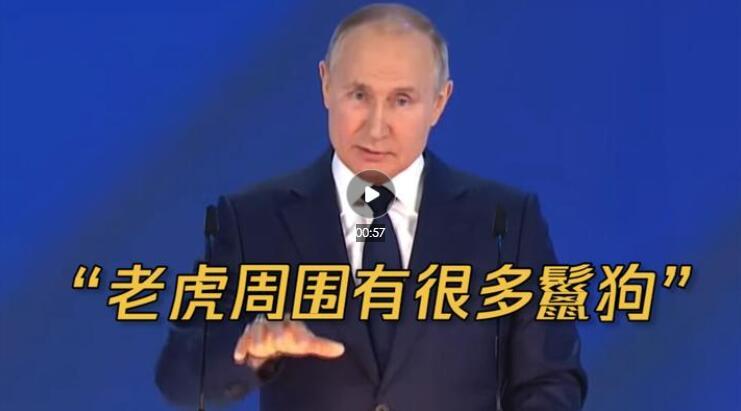 俄总统秘书：普京才是俄真正的国家品牌青柠网在线观看视频大全HD