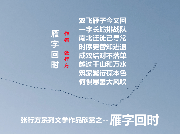 张行方系列文学作品欣赏之—雁字回时