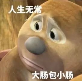 表情包:人生无常,大肠包小肠