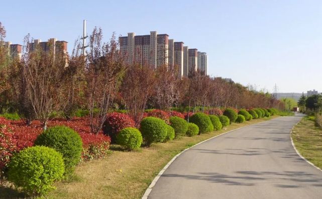 陈锐:醉美渭清公园!