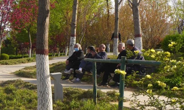 陈锐:醉美渭清公园!