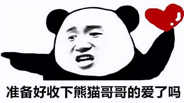 霸道总裁熊猫表情包图片