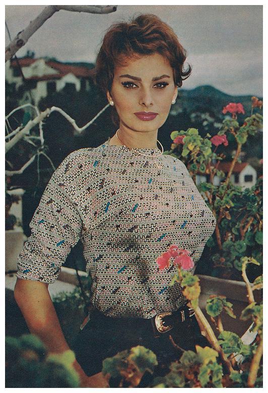 索菲娅·罗兰她,是"如果她是花,她不是小巧精致,有色无香的西洋菊