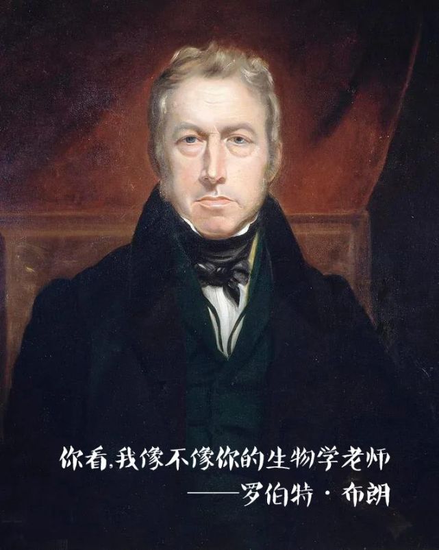 "天孕知识库"孕妈手中的"流体熊",为何每只都独一无二?