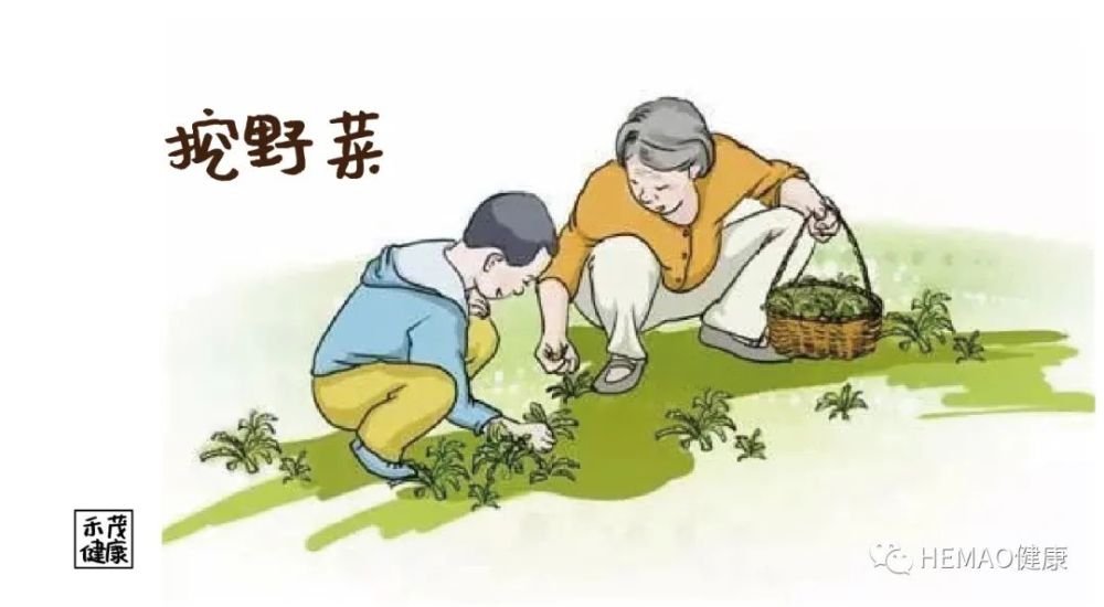 50种野菜图鉴 小区绿化带里可能就有 收藏起来备用 腾讯新闻