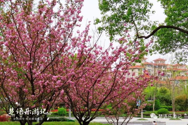 如果自駕,周邊的高鑫廣場,壹都文化廣場等都有停車位,可以停放私家車.