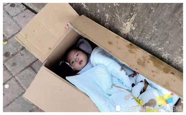 1987年湖北夫妻捡到弃婴,扛煤气罐供读博士,24年后亲生父母认亲_腾讯