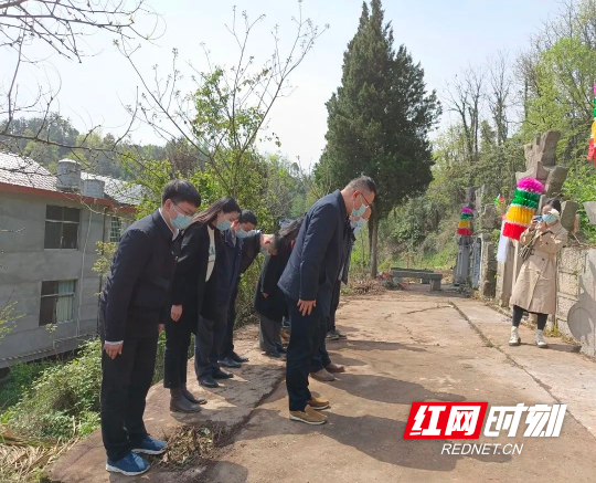 桑植县瑞塔铺镇:传承红色基因·清明祭英烈
