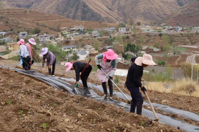 貴州威寧玉龍鎮:返鄉能人帶頭幹 村民致富