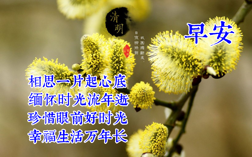 2022年清明节问候语图片大全清明节问候语温馨句子