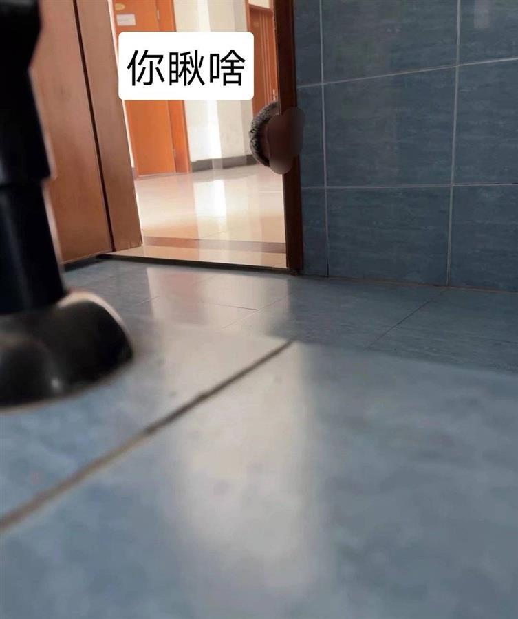 网传南京一高校男教师偷窥女厕所，校方：已成立调查组yellow日本高清免费中文