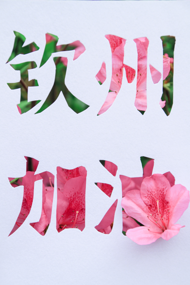 钦州加油!湾大加油!