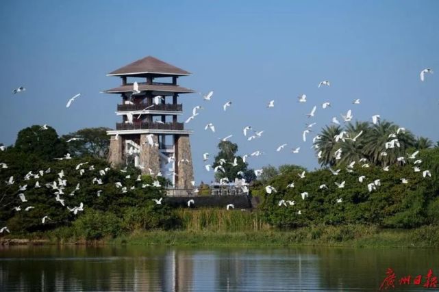 廣州15個溼地公園,有不少藏在老城區!小眾到連老廣都未必知!