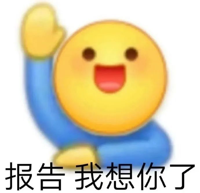 表情包報告我想你了