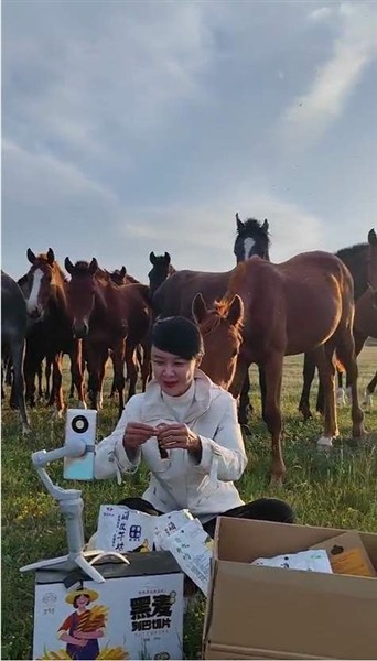 策马雪原副局长贺娇龙曾骑马摔折肋骨月均带货破两千万