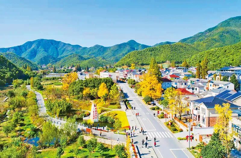 余村乡亲们的生活芝麻开花节节高