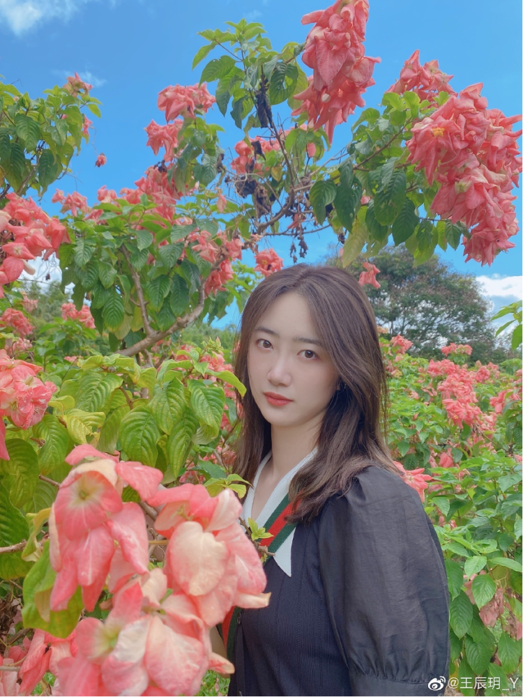 对排球一见钟情 最美副攻王辰玥 无心插柳的全国冠军_腾讯新闻