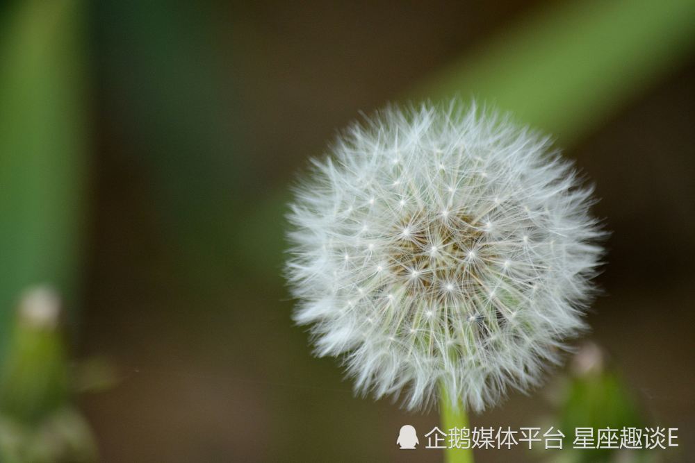 4月5日 11日星座运势 奋勇向前 喜笑颜开的四大星座 天天看点