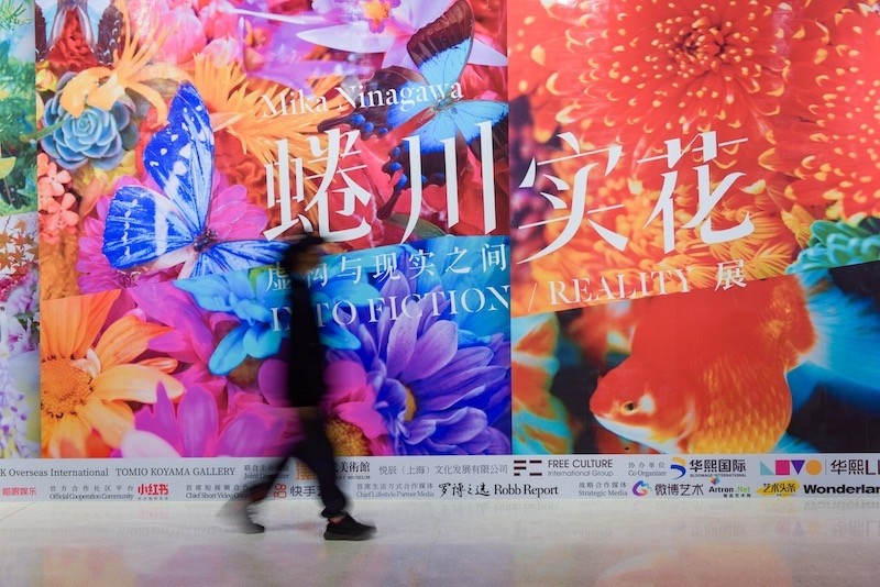 樱花如约绽放，日本艺术家蜷川实花回顾展来到北京八年级上册音乐笔记