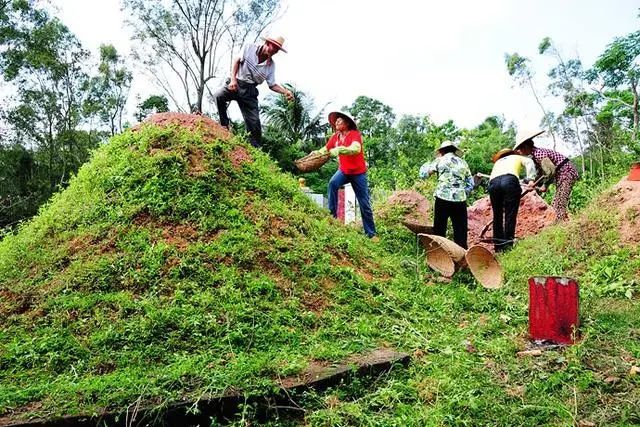 清明祭祖墳頭長草需要清理嗎相關禁忌不可不知