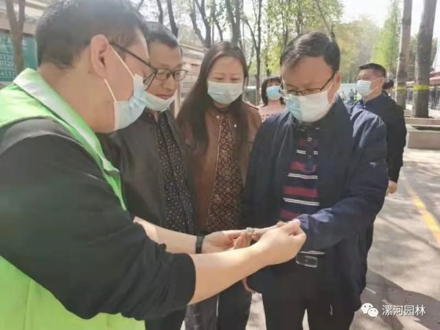 白毛来漯河了!果断出击!