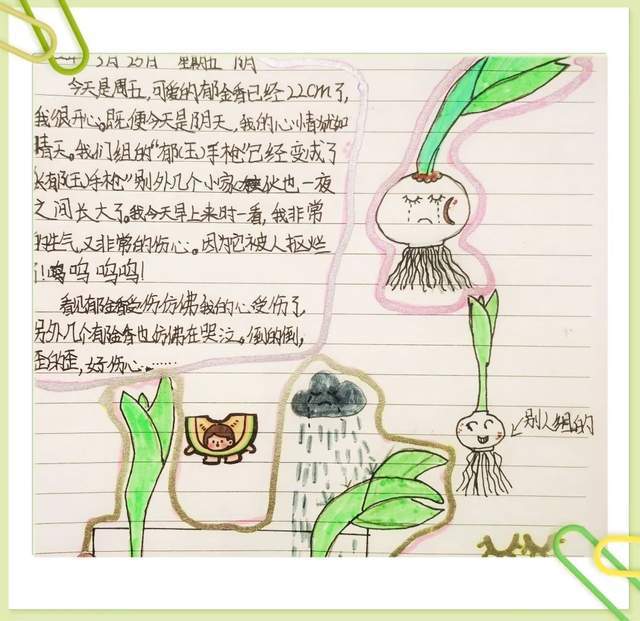 grade4长作业生长吧