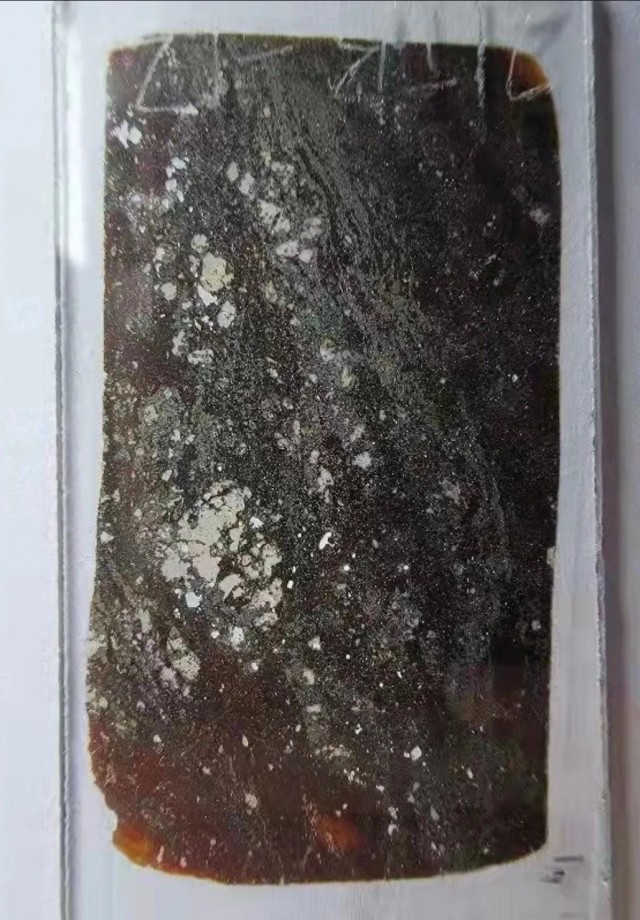 常青藤少兒英語怎么樣多種呈陽性疏忽水產品火箭新礦物太空線上英語和線下英語怎么配合
